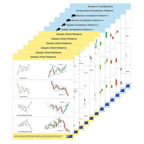 1000054505 2023 02 07 05 10 26 1 removebg preview