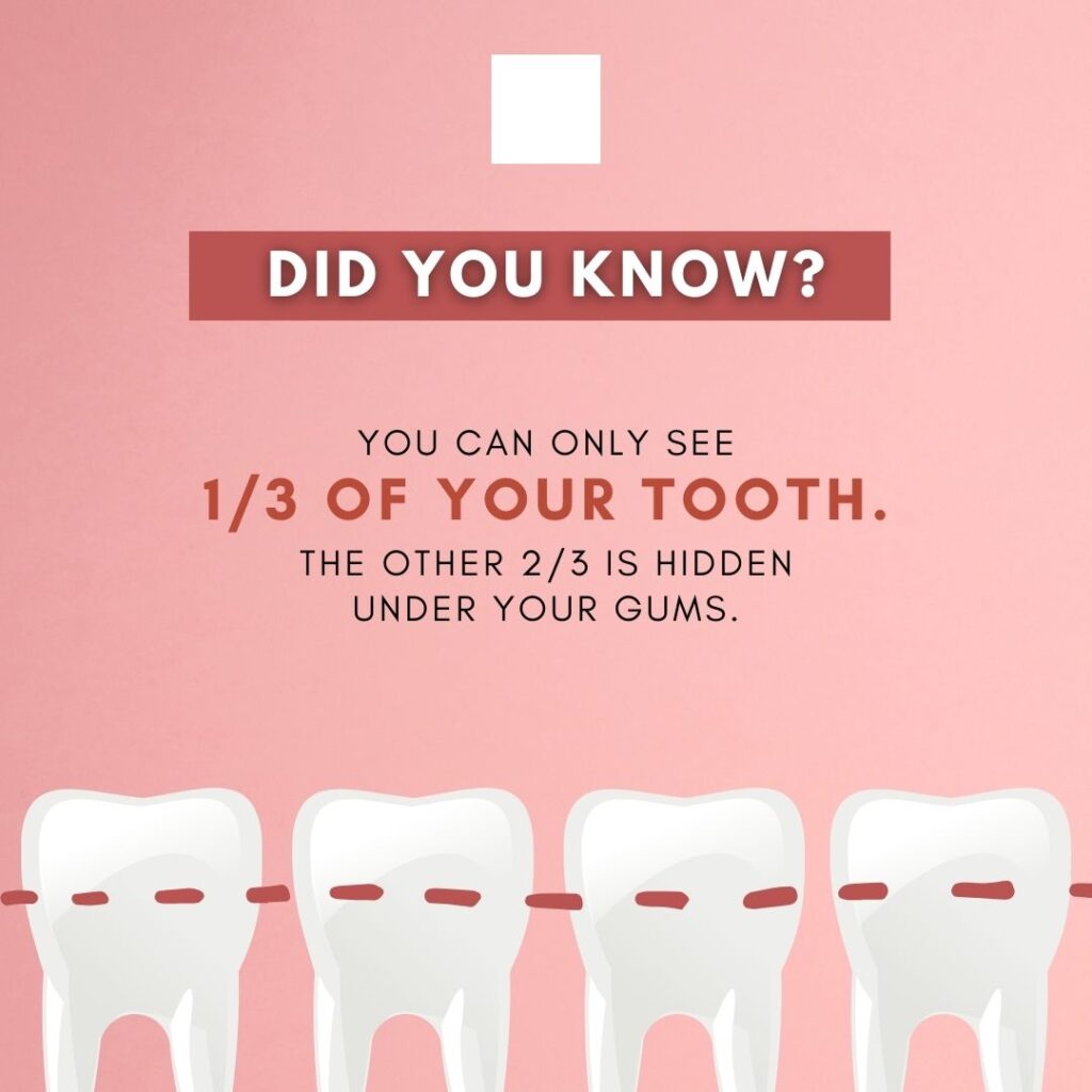 Did you know 5 1024x1024 1