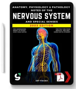 The Nervous System