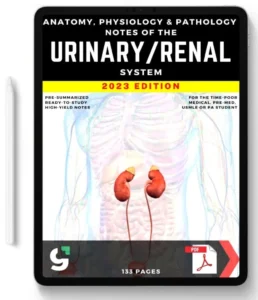 UrinaryRenal System